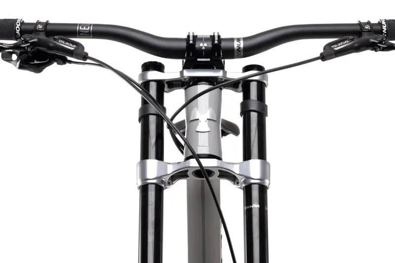 Nukeproof Dissent 290 Comp 29er Downhill Mountain Bike 2021 Grey-3